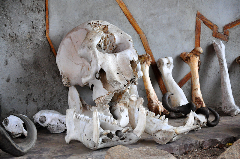 Melanie Heinrich Travel Images Africa